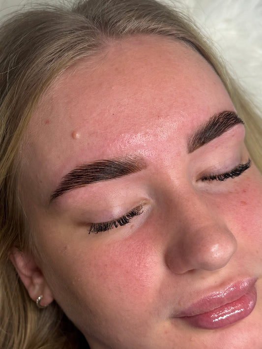 Everything Brow Course